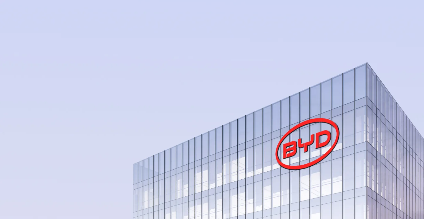 BYD PrimeО бренде